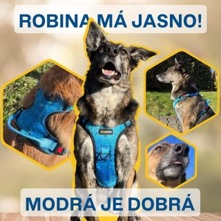 Robina mění šatník!🔥Modrá je dobrá 💙💛 U nás bude rok 2025 ve znamení modré. #aromin #novinka #sepsemnacestach...